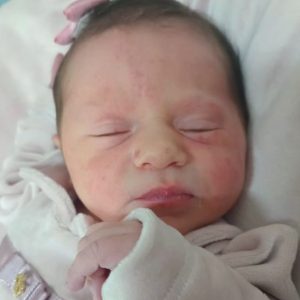 CECÍLIA BENEDETTI AZEREDO