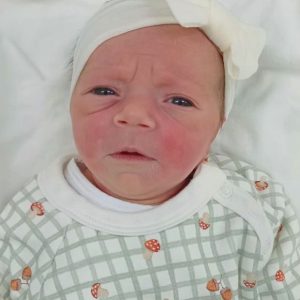 NINA SARRETA COSTA