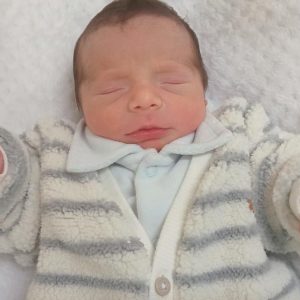 VICENTE WENDER FERREIRA